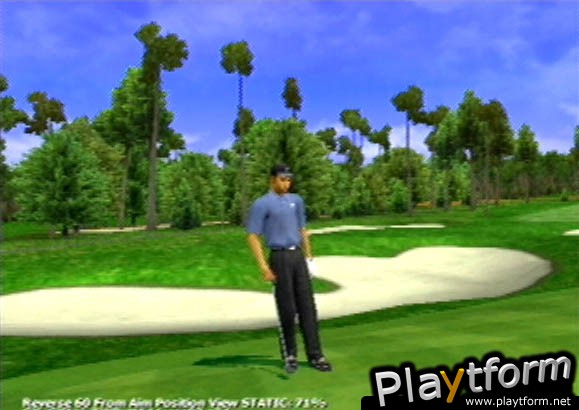 Tiger Woods PGA Tour 2001 (PlayStation 2)