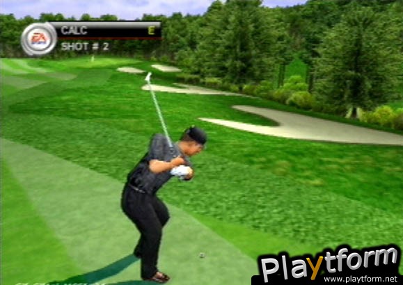 Tiger Woods PGA Tour 2001 (PlayStation 2)