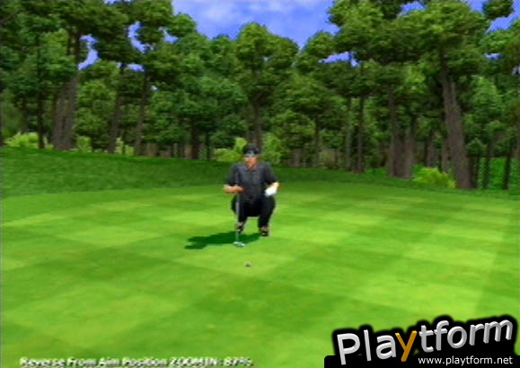 Tiger Woods PGA Tour 2001 (PlayStation 2)