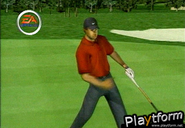 Tiger Woods PGA Tour 2001 (PlayStation 2)