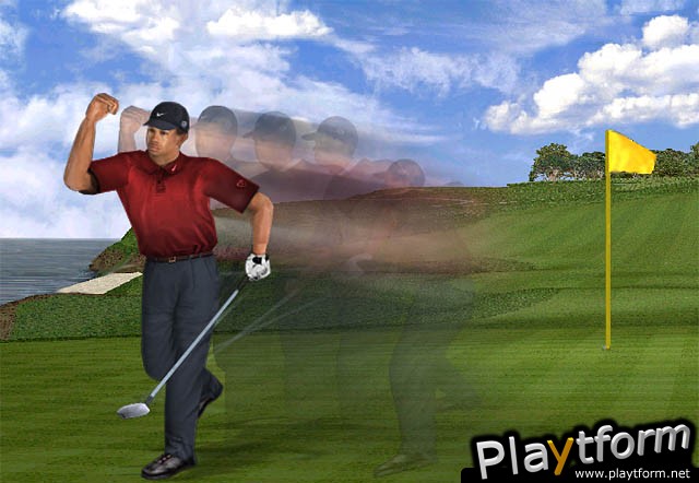 Tiger Woods PGA Tour 2001 (PlayStation 2)