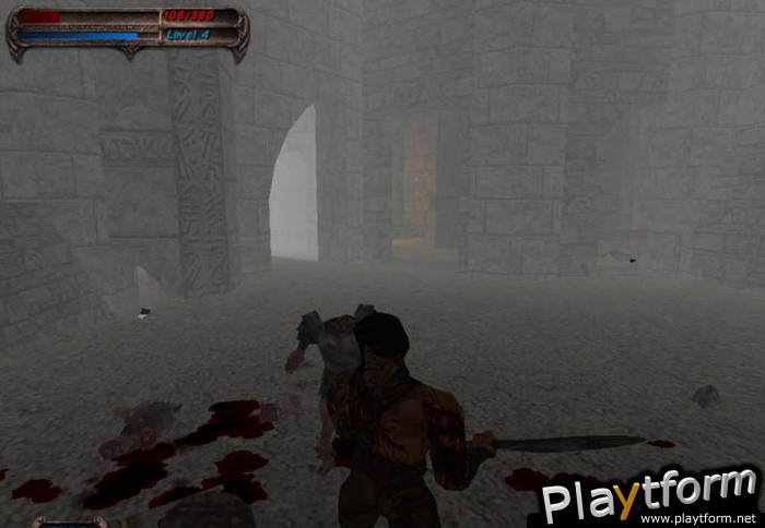 Blade of Darkness (PC)