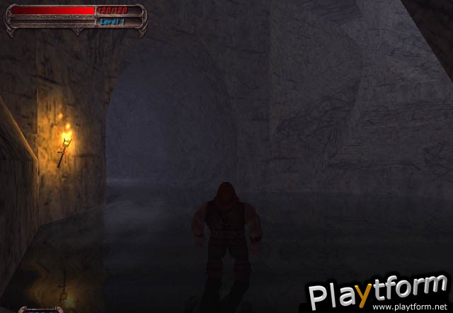 Blade of Darkness (PC)