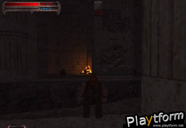 Blade of Darkness (PC)