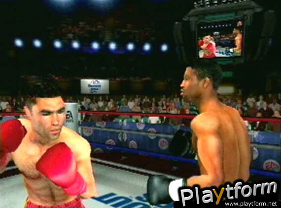 Knockout Kings 2001 (PlayStation 2)