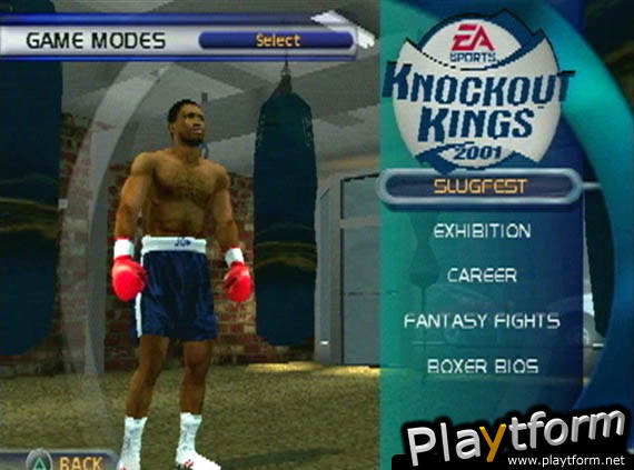 Knockout Kings 2001 (PlayStation 2)