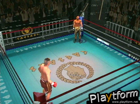 Knockout Kings 2001 (PlayStation 2)