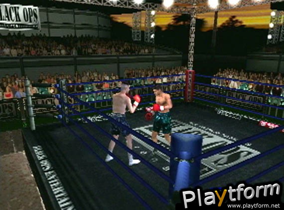 Knockout Kings 2001 (PlayStation 2)