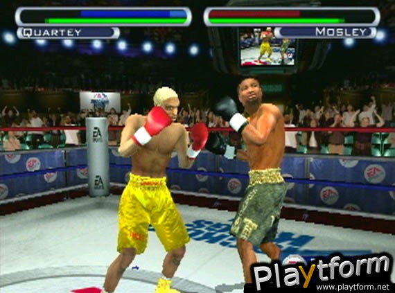 Knockout Kings 2001 (PlayStation 2)