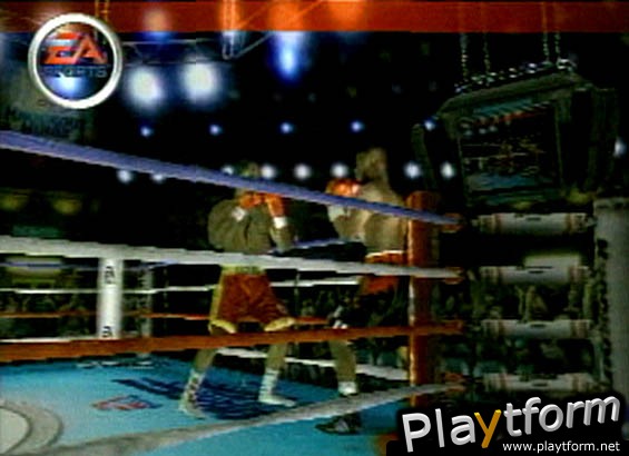 Knockout Kings 2001 (PlayStation 2)