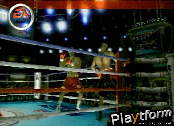 Knockout Kings 2001 (PlayStation 2)