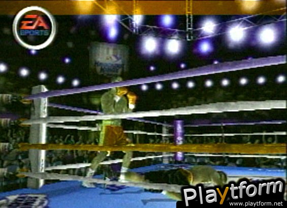 Knockout Kings 2001 (PlayStation 2)