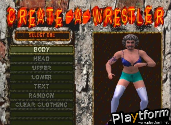 ECW Anarchy Rulz (Dreamcast)