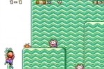 Super Mario Advance (Game Boy Advance)