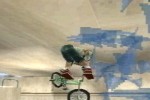 Dave Mirra Freestyle BMX: Maximum Remix (PlayStation)