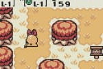 The Legend of Zelda: Oracle of Seasons (Game Boy Color)