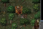 Ultima Online: Third Dawn (PC)