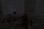 Blade of Darkness (PC)