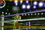 Knockout Kings 2001 (PlayStation 2)