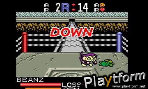 Monkey Puncher (Game Boy Color)