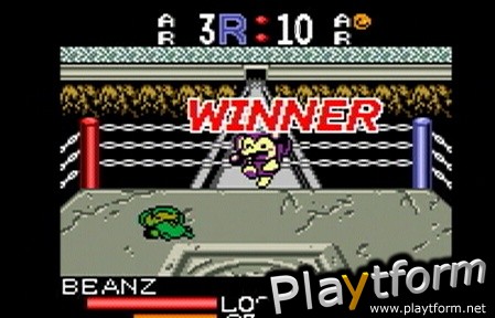 Monkey Puncher (Game Boy Color)