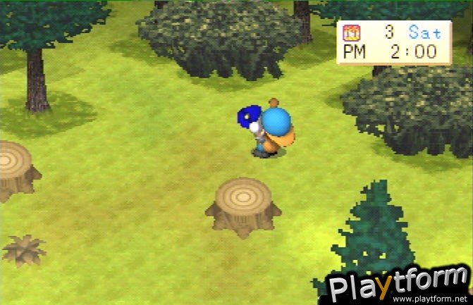 Harvest Moon: Back To Nature (PlayStation)