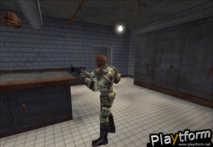 Delta Force: Land Warrior (PC)