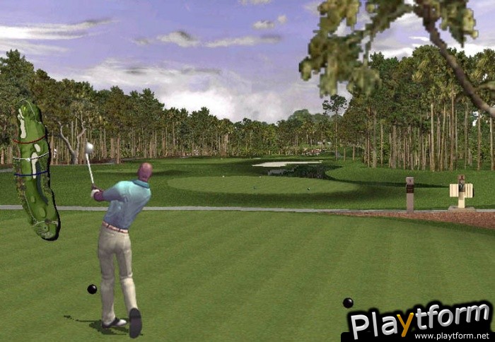 Tiger Woods PGA Tour 2001 (PC)