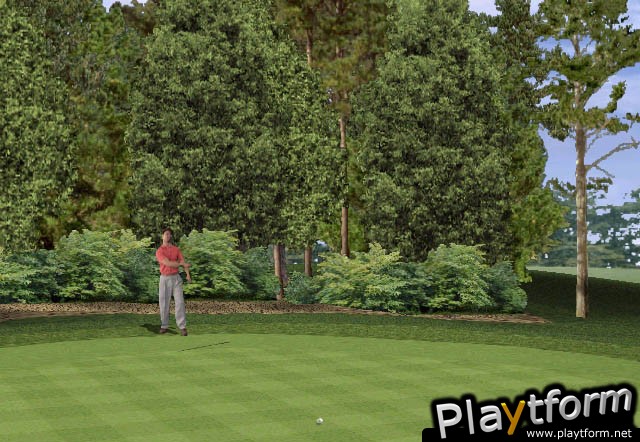 Tiger Woods PGA Tour 2001 (PC)