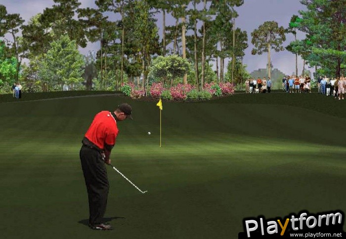 Tiger Woods PGA Tour 2001 (PC)