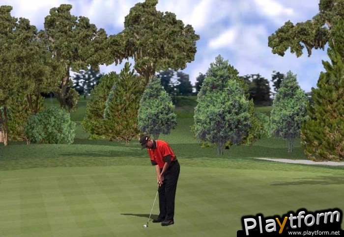 Tiger Woods PGA Tour 2001 (PC)