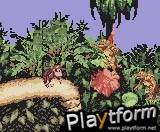 Donkey Kong Country (Game Boy Color)