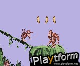 Donkey Kong Country (Game Boy Color)