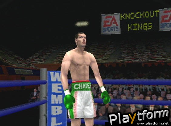 Knockout Kings 2001 (PlayStation)