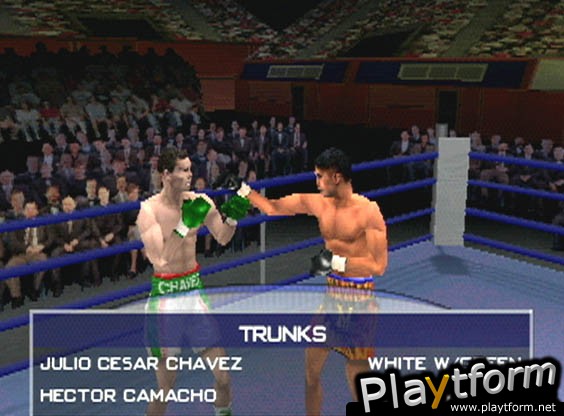 Knockout Kings 2001 (PlayStation)