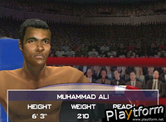 Knockout Kings 2001 (PlayStation)