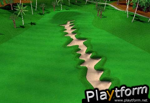 Swing Away Golf (PlayStation 2)