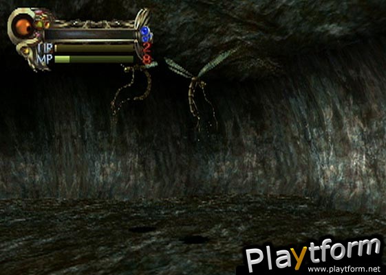 Eternal Ring (PlayStation 2)