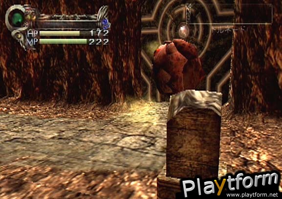 Eternal Ring (PlayStation 2)