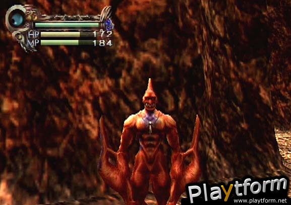 Eternal Ring (PlayStation 2)