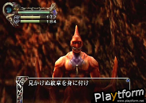 Eternal Ring (PlayStation 2)