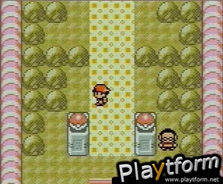 Pokemon Silver Version (Game Boy Color)