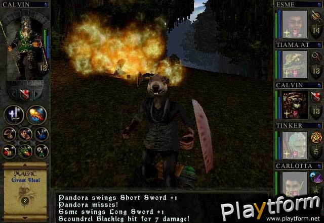 Wizards & Warriors (PC)