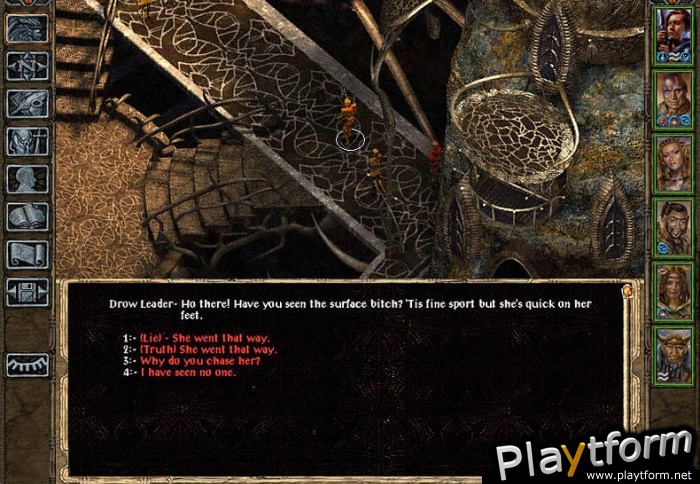 Baldur's Gate II: Shadows of Amn (PC)