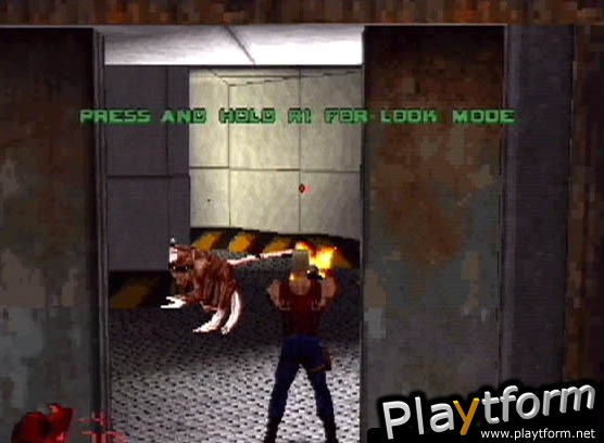 Duke Nukem: Land of the Babes (PlayStation)