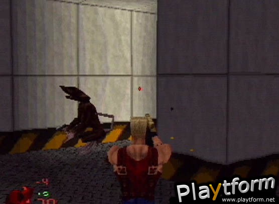 Duke Nukem: Land of the Babes (PlayStation)