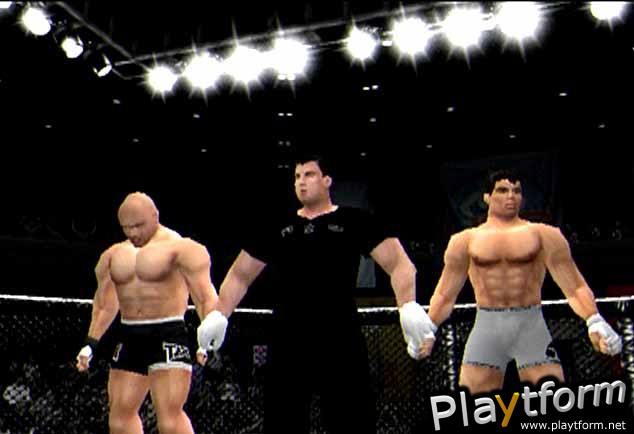 Ultimate Fighting Championship (Dreamcast)