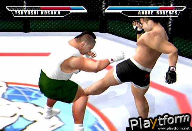 Ultimate Fighting Championship (Dreamcast)