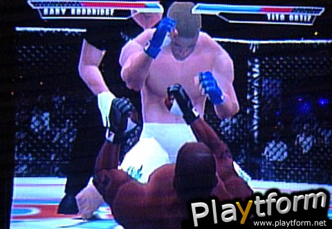 Ultimate Fighting Championship (Dreamcast)