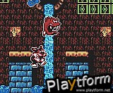 Titus the Fox (Game Boy Color)